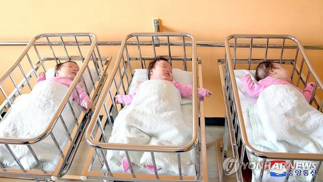 북한, 평양산원서 546번째 세쌍둥이 출산