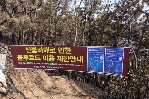 올해 3월 영덕 블루로드에 붙어 있던 이용 제한 안내 현수막