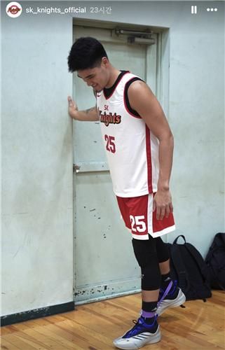 서울 SK 톨렌티노