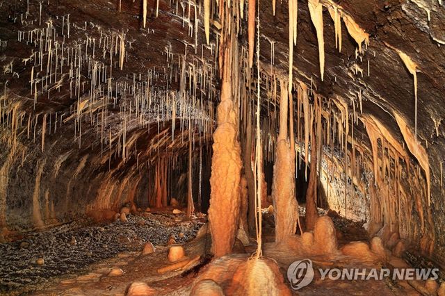 뒷난여 사구 영향으로 만들어진 당처물동굴 내 석회 생성물