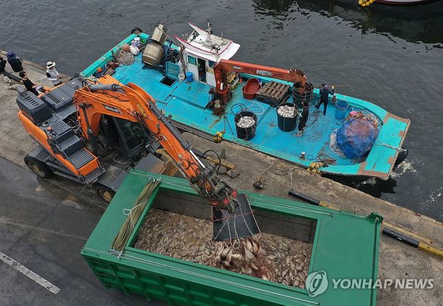 남해군 연일 적조…폐사 참돔 수거