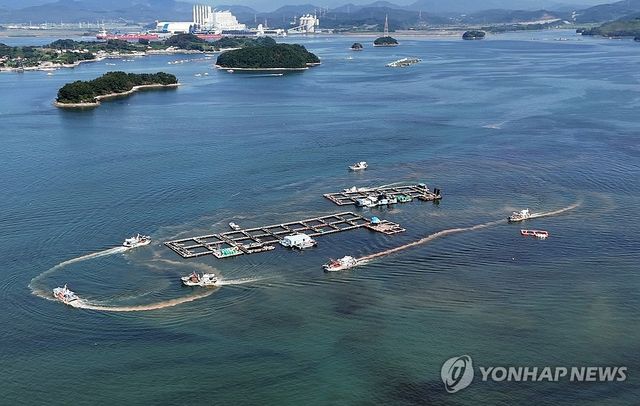 남해군 적조 확산 방제작업