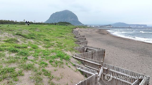 사계리 해안사구 모래 포집기