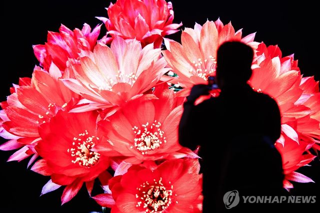 중국 하이센스 TV