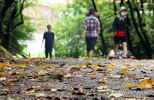 가을로 가는 산책길