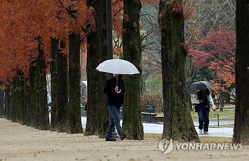 부슬부슬 가랑비