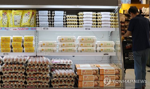 호우·폭염 속 먹거리 물가 불안