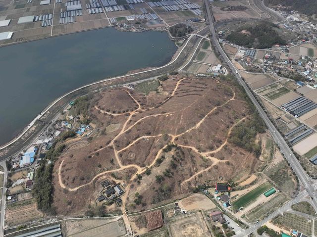 경남 밀양시 소나무재선충병 수종 전환 방제사업