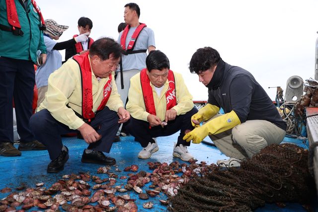 자란만 산소부족 물덩어리 피해 현장 찾은 고성군수(가운데)