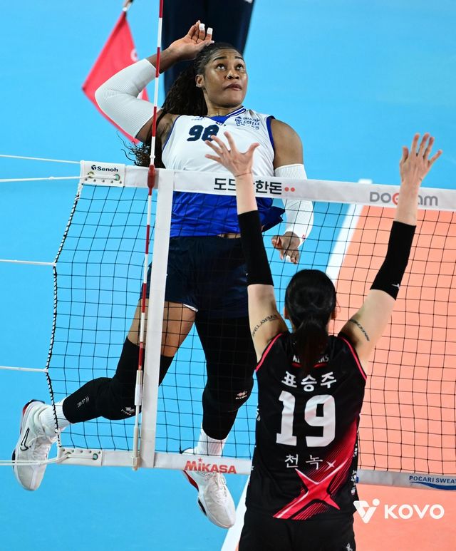 스파이크하는 모마(왼쪽)