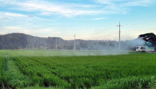 저탄소 인증 공동방역