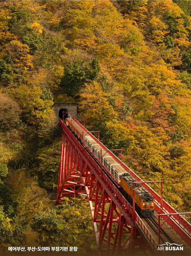 부산~도아먀 부정기편 운항