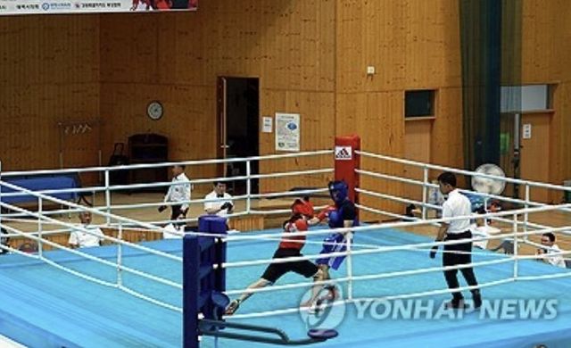 복싱 경기 사진. 기사 내용과 무관.