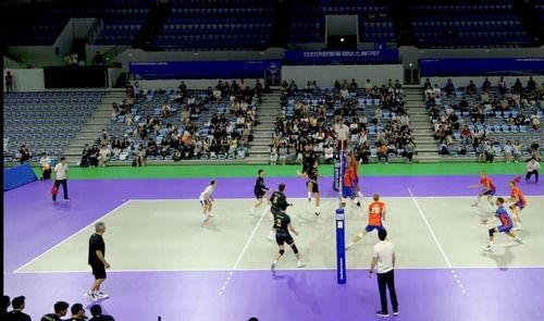 대한항공과 네덜란드 대표팀의 연습 경기 장면