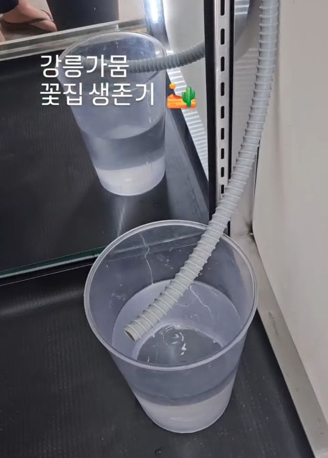 에어컨 실외기 물 받는 모습