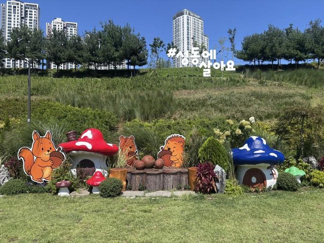 중랑천 피크닉장