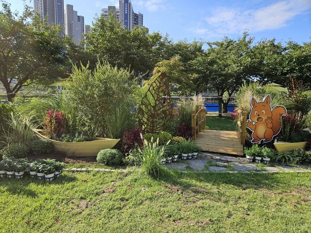 중랑천 피크닉장