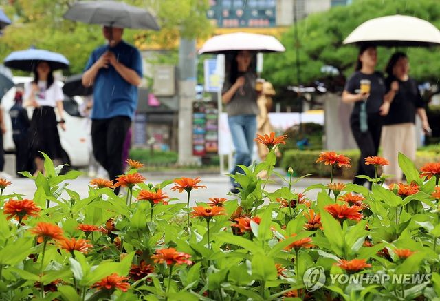 가을비 내리는 거리