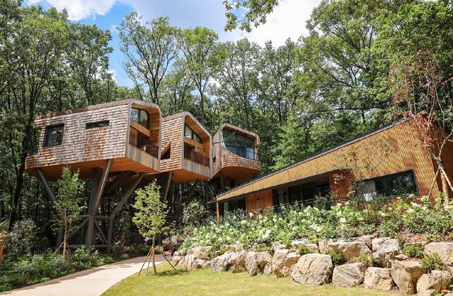 트리하우스 전경 [사진/임헌정 기자]