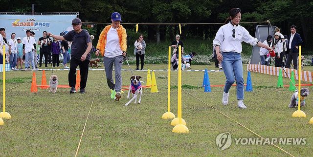 "뛰어! 댕댕이 미션달리기"