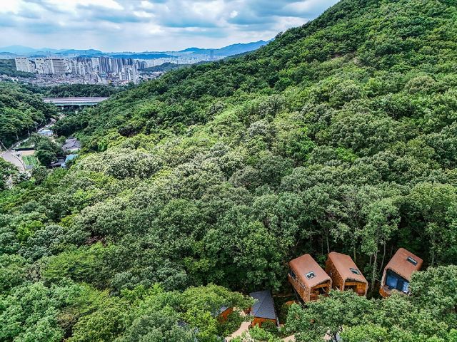 트리하우스가 보이는 도심 숲 [사진/임헌정 기자]