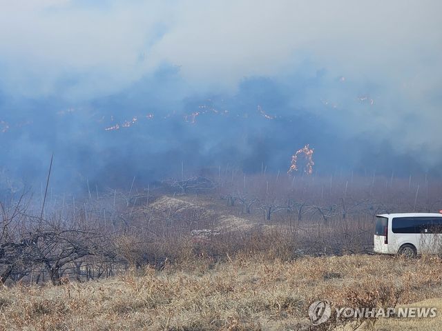 의성군서 산불 발생