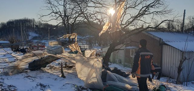 강풍에 비닐하우스 파손