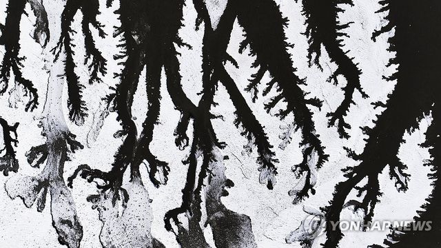 강추위에 꽁꽁 언 갯벌