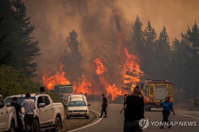 아르헨티나 추붓주 산불