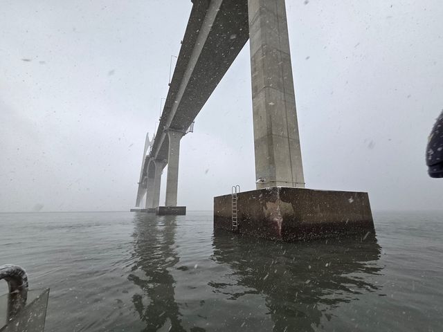 천사대교 교각 구조물 대형 선박 접촉에 파손