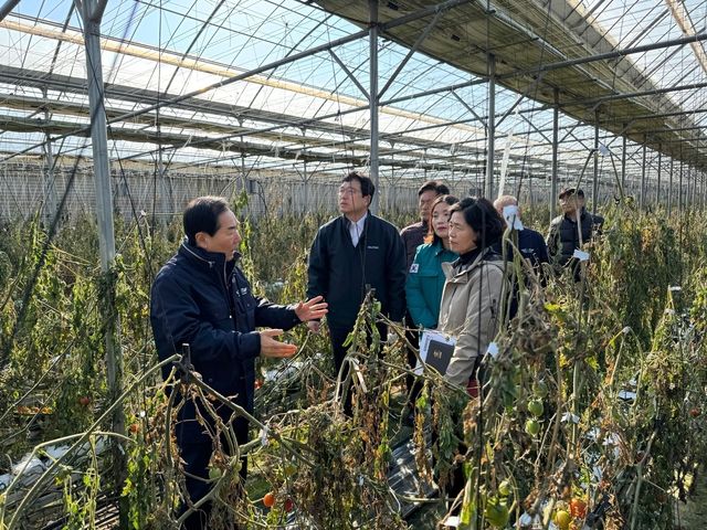 강풍 피해 창녕 농가 점검