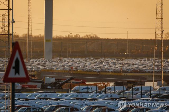 벨기에 지브뤼헤 항구에 주차된 중국 전기차들