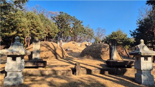 맨 위 왼쪽이 연산군의 묘 [촬영 김정선] 2026.1