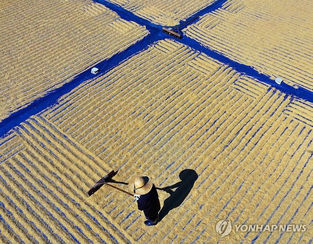 계절과 날씨가 만든 작품