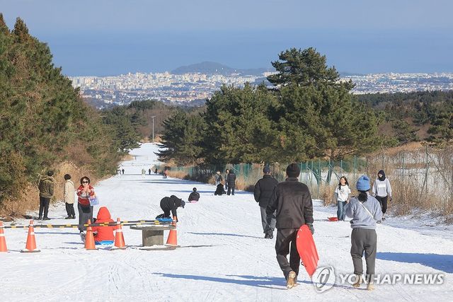 제주 중산간은 천연 눈썰매장
