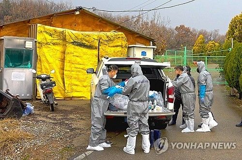 돼지 농장 방역