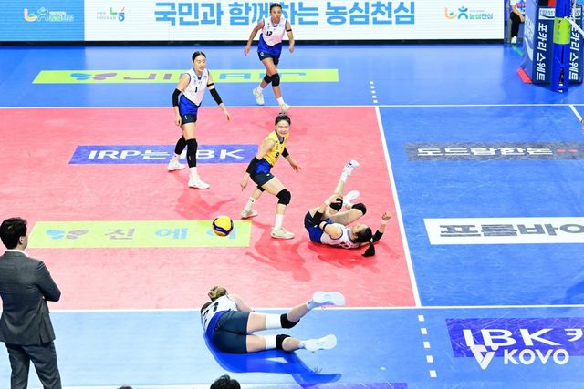 프로배구 현대건설 선수들