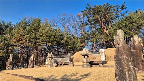 연산군(왼쪽)과 거창군부인의 묘 [촬영 김정선] 2026.1 