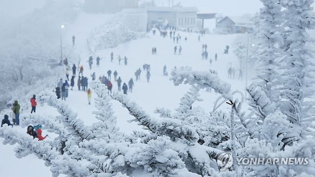 덕유산, 겨울 왕국 변신