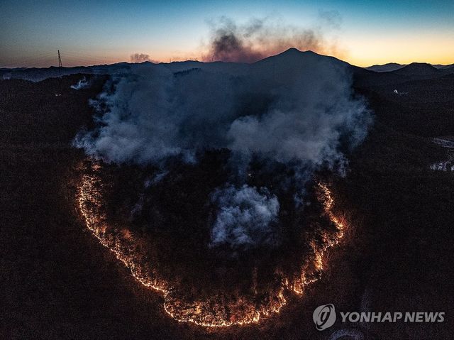 새해 벽두부터 산불
