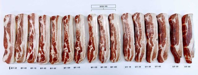 삼겹살로 유통되는 돼지 흉추 5번에서 요추 6번 부위. 이중 가운데가 과지방 부위.