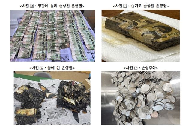 썩고 불타고…지난해 폐기된 화폐 쌓으면 에베레스트산 17배