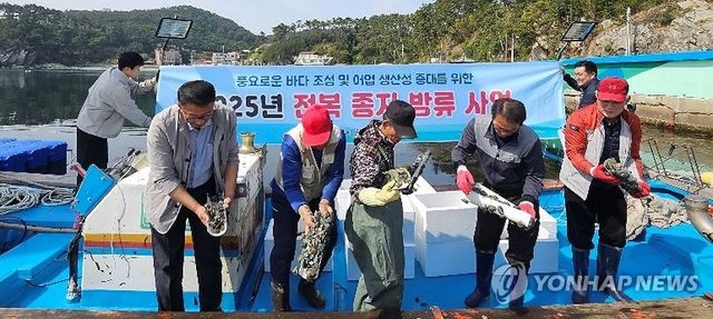 울산 앞바다 전복종자 39만마리 방류
