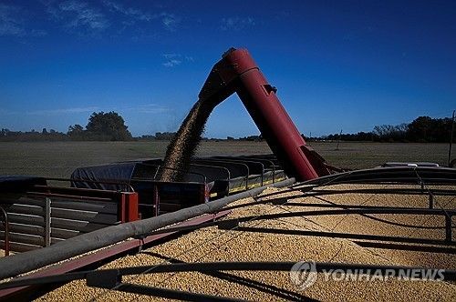 아르헨티나 부에노스아이레스 인근 농장의 대두 수확 모습