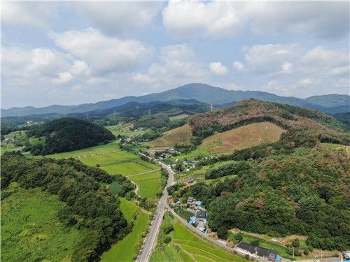 청양군, 소나무재선충병 방제 총력