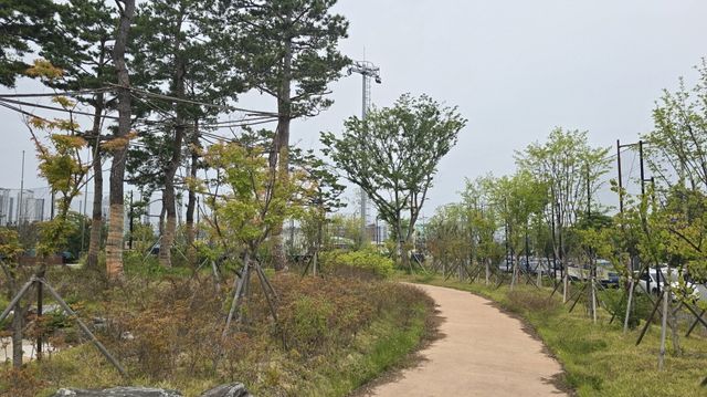 포항 상도 생활야구장 도시숲