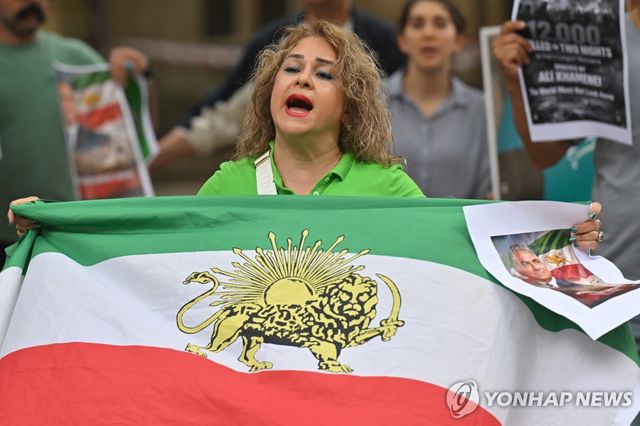 이란 황금사자기