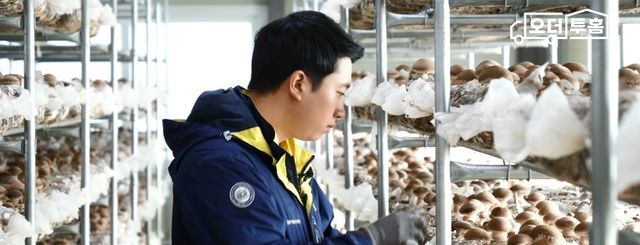 최영창 농가 '미송화 버섯세트' 