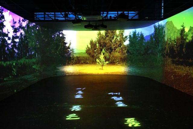 소나무 미디어숲 내부