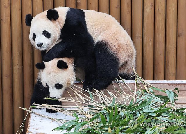 함께라서 따뜻한 겨울